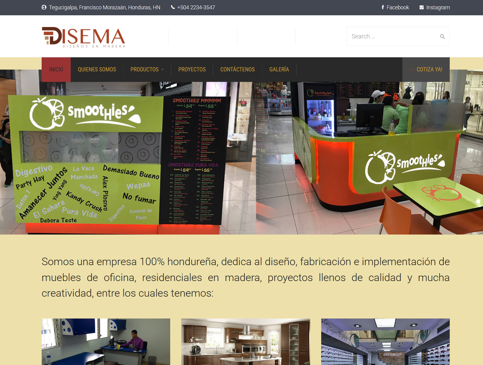 DISEMA HN